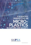 Microplastics in Nature and Society